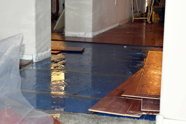 Professional Burst Pipe Cleanup technician working in South Lyme, CT
